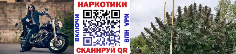 Продажа наркотиков Южноуральск Cocaine  СОЛЬ  Гашиш  МЕГА маркетплейс  Меф мяу мяу  МЕТАМФЕТАМИН  Каннабис  АМФЕТАМИН 