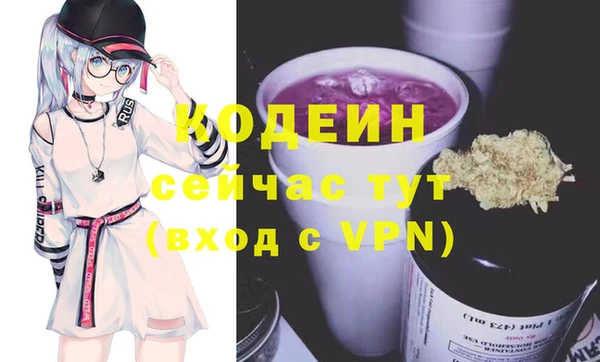 индика Бородино