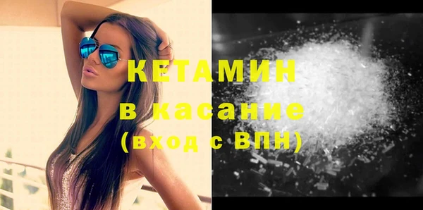 индика Бородино