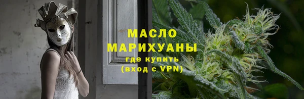 индика Бородино