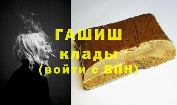 индика Бородино
