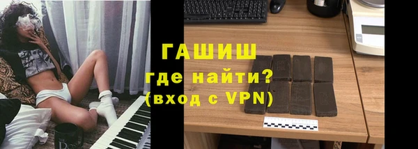 индика Бородино