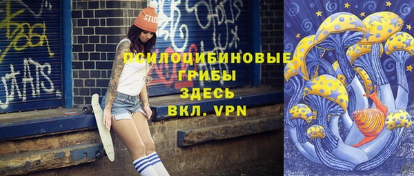 индика Бородино