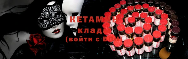 индика Бородино