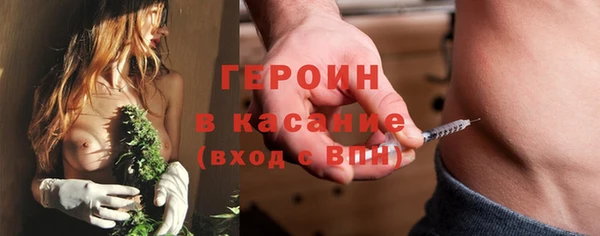индика Бородино
