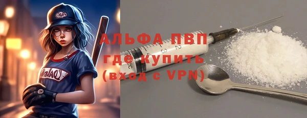 крисы Бронницы