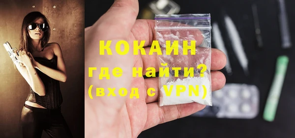 индика Бородино