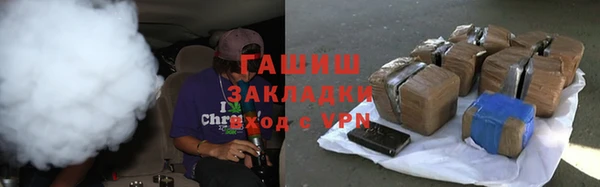 индика Бородино