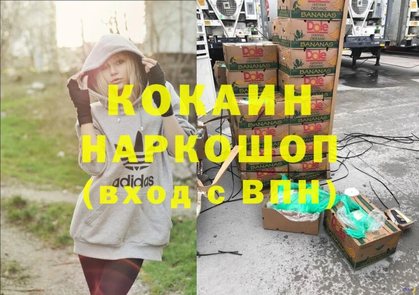 индика Бородино