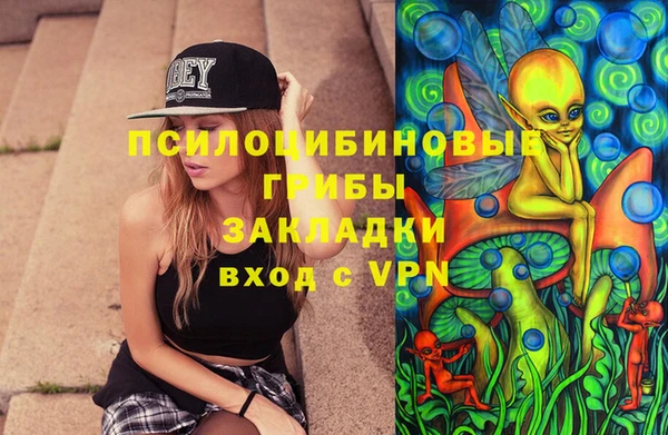 индика Бородино