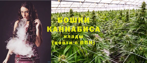 крисы Бронницы