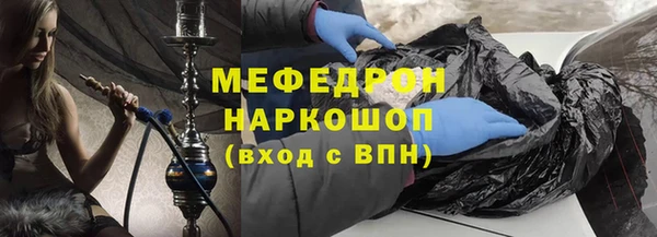 индика Бородино