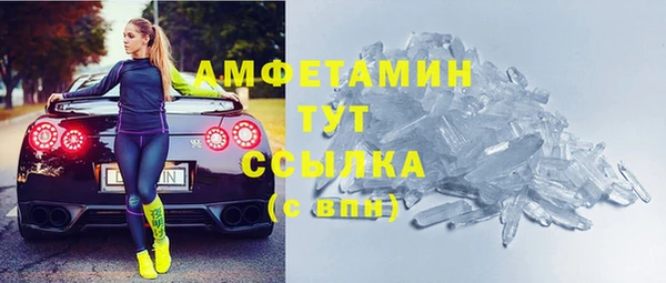 индика Бородино