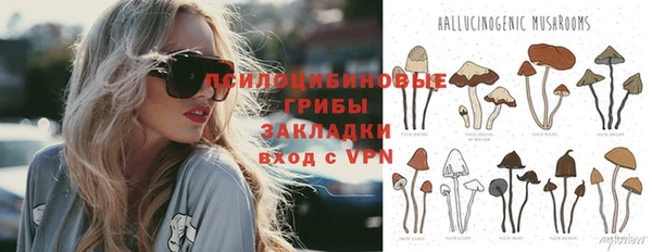 индика Бородино